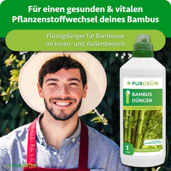 Eine Flasche Purgrün Bambus Dünger Flüssigdünger für innen und außen mit einem lächelnden Gärtner vor einer Bambushecke.