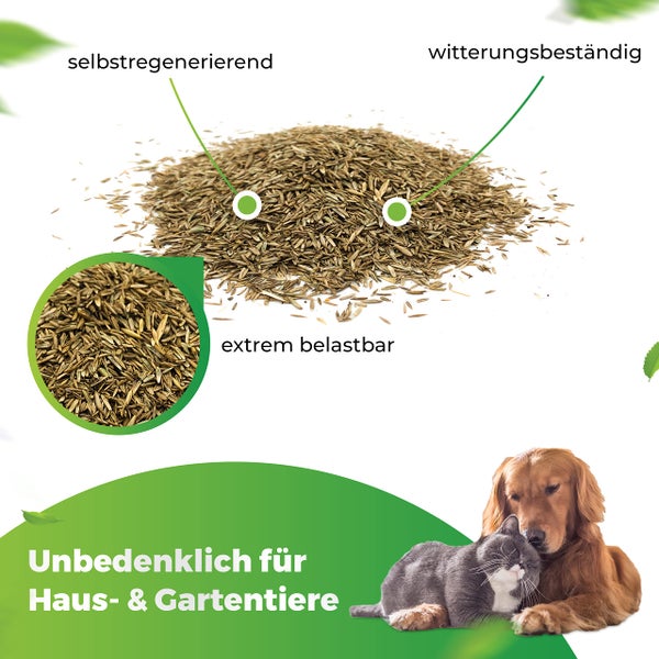 Greenyp Sport I strapazierfähiger Sport-& Spielrasen I 5kg für 200m² I Sportrasen Grassamen Rasensamen Rasensaat Gras Nachsaat schnellkeimend