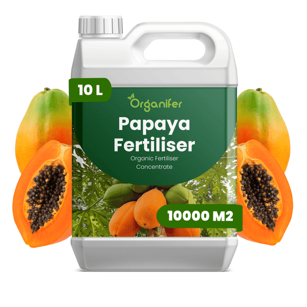 Organifer Papaya Dünger, 10 Liter organisches Düngerkonzentrat für 10000 Quadratmeter, Kanister mit Tragegriff und Papaya-Abbildungen.