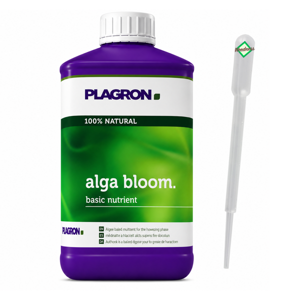 Plagron Alga Bloom Pflanzennährstoff Flasche mit Pipette
