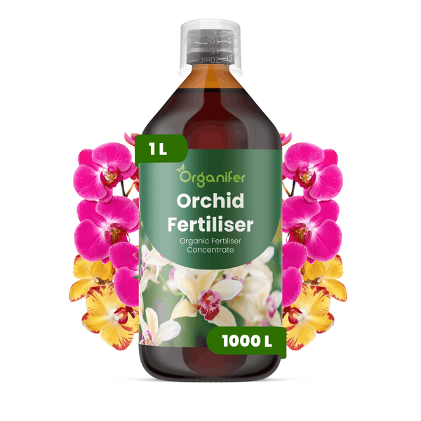 Organifer Orchideendünger, organisches Düngerkonzentrat, 1 Liter Flasche, ausreichend für 1000 Liter Gießwasser, mit Messbecher.