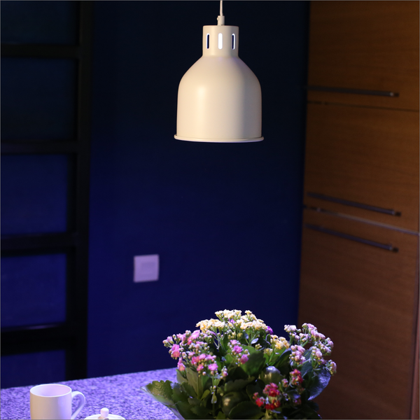 Venso EcoSolutions E27 SAGA Lampenschirm Grau, LED Pflanzenlampe E27 Pflanzenleuchte, LED Wachstumslampe, Anzuchtlampe Gemüse, Pflanzenlicht, Lampenschirm Anthrazit