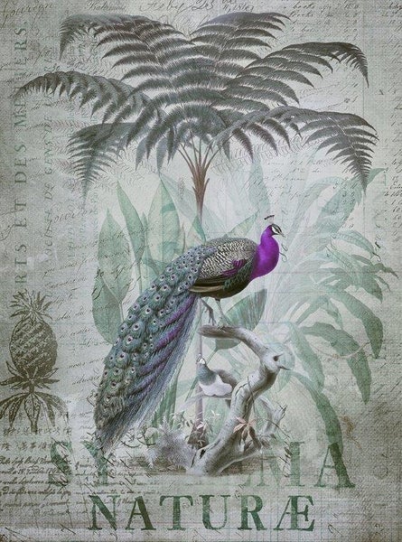 Vintage Wandbild mit einem Pfau auf einem Ast, umgeben von Farnen, tropischen Blättern und einer Ananas auf einem Hintergrund mit Schrift.