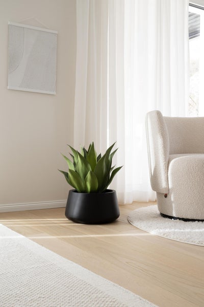 Künstliche Agave im schwarzen Topf in einem hellen, modern eingerichteten Wohnraum mit Parkettboden und weißem Sessel.