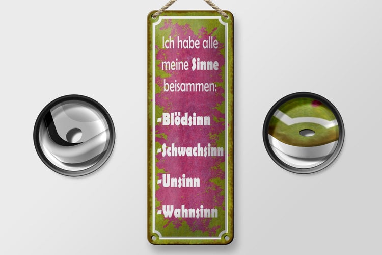 Blechschild Spruch 10x27cm habe alle meine Sinne beisammen Dekoration