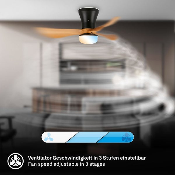 Deckenventilator mit Beleuchtung und in drei Stufen einstellbarer Geschwindigkeit in einem modern eingerichteten Raum.
