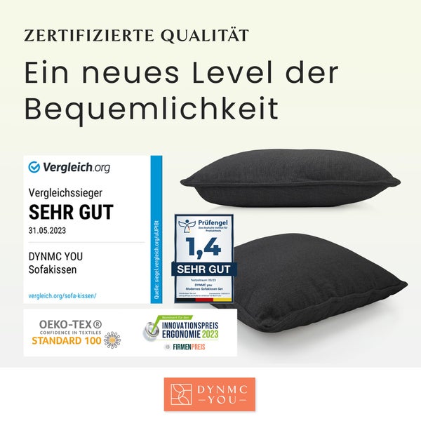 DYNMC you Sofakissen mit Füllung und Bezug - 2er Set 40x40cm mit Viel Füllung - VERGLEICHSSIEGER SEHR GUT - Rückenkissen mit Oeko TEX Baumwoll-Bezug - Bequeme Dekokissen - Couchkissen Anthrazit
