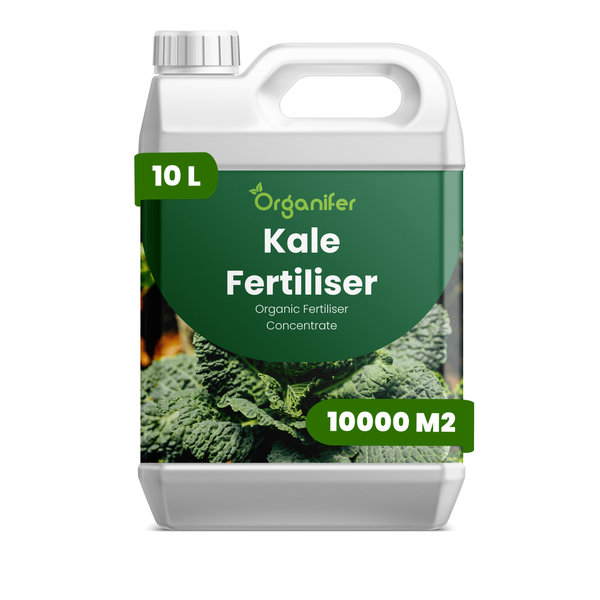 Organifer Grünkohldünger, organisches Düngerkonzentrat, 10 Liter Kanister für 10000 Quadratmeter.