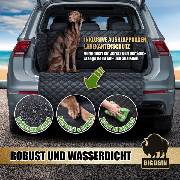 Graues Auto mit Hunde-Kofferraumschutz und Hund