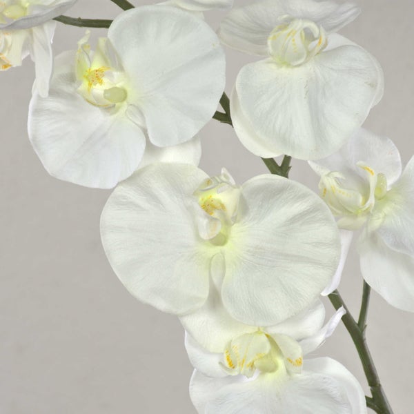 Detailaufnahme einer künstlichen Strelitzia mit großen grünen Blättern und kräftigen Stielen.