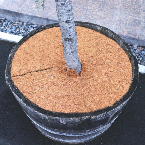 4 Kokos Mulchscheiben 45cm Kokofasermatte Kokosfaser Pflanzenschutzmatte Kokos