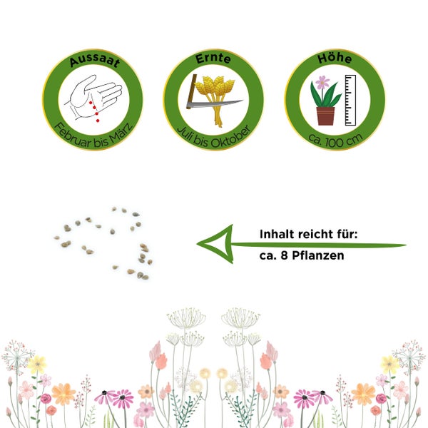 Symbole für Aussaat von Februar bis März, Ernte von Juli bis Oktober, Wuchshöhe circa 100 Zentimeter und Inhalt für circa 8 Pflanzen.