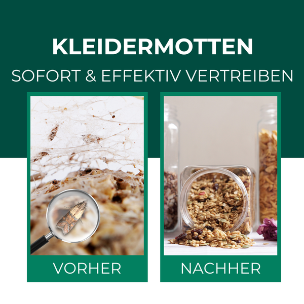 Vergleichsbild zum Vorher und Nachher bei Kleidermottenbefall mit Lupeneffekt auf eine Motte und sauberen Vorratsgläsern mit Müsli.