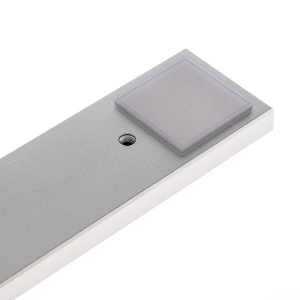 Dekorative Halloween-Hexe mit Apfel, stehend.