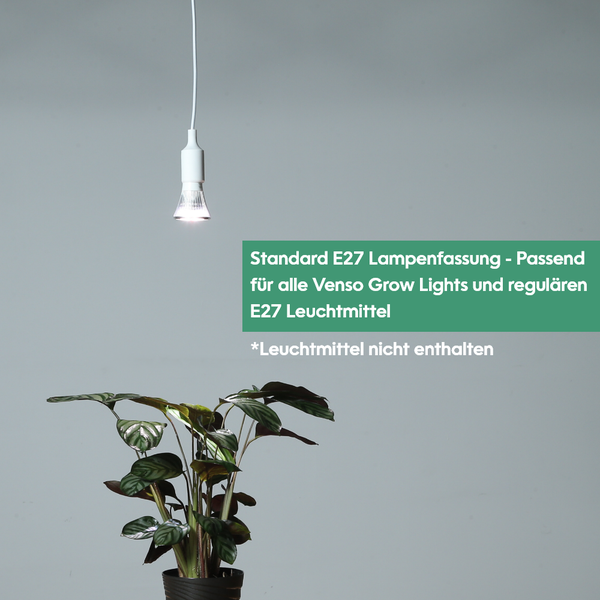 Parus by Venso E27 Lampenfassung 4m Kabel Transparent, Eurostecker, Venso Ecosolutions Lampenfassung E27 mit Kabel für E27 LED Lampe, Bulb Holder, Kabel für Lampe, Fassung E27