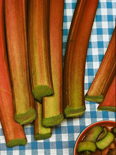 Frische Rhabarberstangen auf einem karierten Tuch
