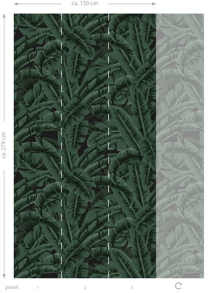Fototapete mit Bananenblattmuster, circa 150 cm breit und circa 279 cm hoch
