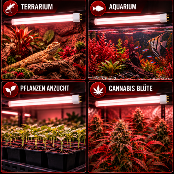 LED Pflanzenlampe mit vier Anwendungsbeispielen für Terrarium Aquarium Pflanzenanzucht und Cannabis Blüte