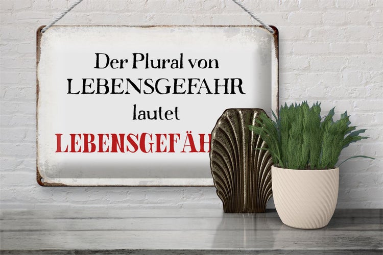 Blechschild Spruch 30x20cm plural von Lebensgefahr lautet