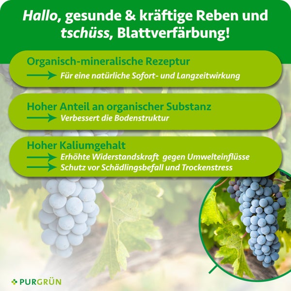 Purgrün Bio-Weinreben-Dünger 1 Liter
