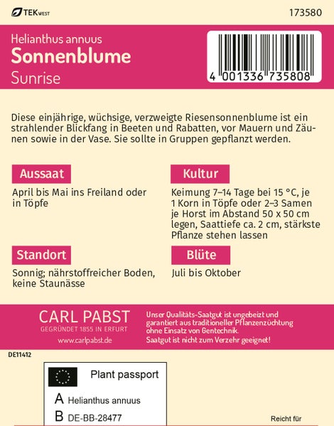 Rückseite der Saatgutpackung für Sonnenblume Sunrise mit Informationen zu Aussaat, Standort und Blüte, Carl Pabst Logo und EU-Pflanzenpass.