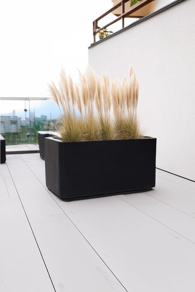 Ein schwarzer rechteckiger Pflanzkasten auf einer modernen Terrasse, bepflanzt mit hohem Pampasgras.