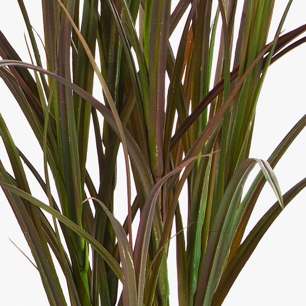 Nahaufnahme von grünen Palmwedeln mit federartigen spitzen Blättern.