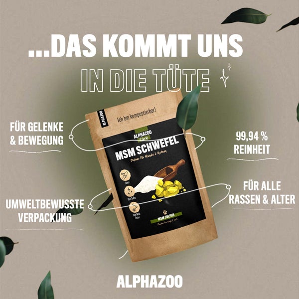ALPHAZOO MSM Pulver 250g für Hunde und Katzen I Organischer Schwefel für Agility