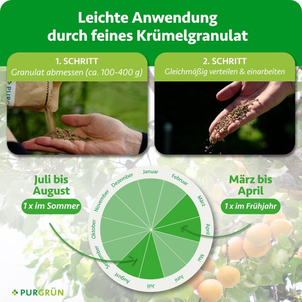 Anwendung von Purgrün Krümelgranulat: circa 100 bis 400 Gramm abmessen, verteilen und einarbeiten. Mit Anwendungsplan. Purgrün Logo.