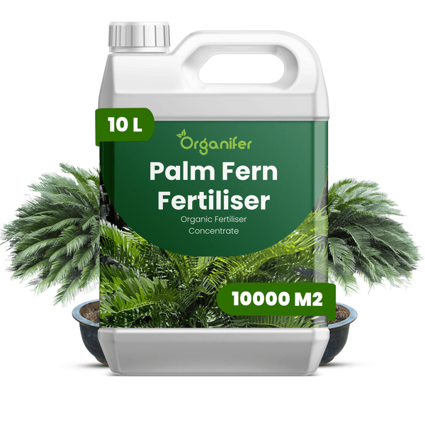 Organifer Palm- und Farndünger, 10 Liter Kanister, organisches Konzentrat für 10000 Quadratmeter.