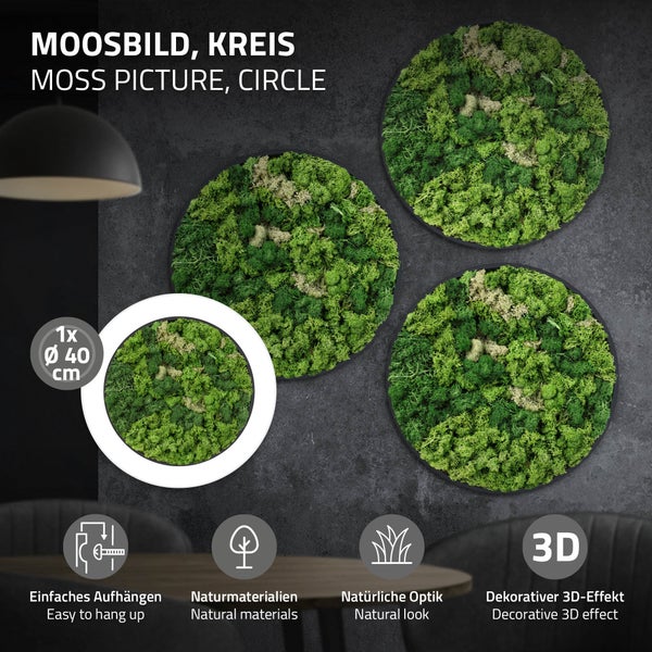 Rundes Moosbild mit natürlichem 3D Effekt Durchmesser 40 Zentimeter zur Wanddekoration