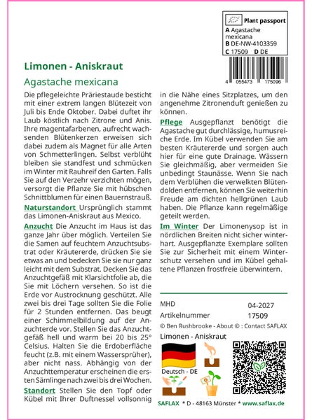 SAFLAX Garden to go - Limonen - Aniskraut - Agastache mexicana - 50 Samen - Mit Topf, Klima - Deckel und Anzuchtsubstrat