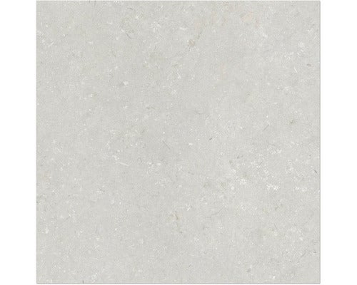 Feinsteinzeug Wand- und Bodenfliese Shellstone bianco 120x120 cm