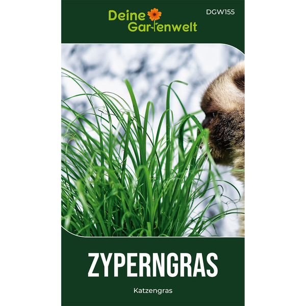 Saatgut für Zyperngras als Katzengras in einer Verpackung von Deine Gartenwelt