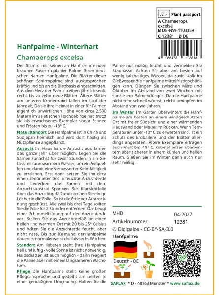 SAFLAX Garden to go - Hanfpalme - Chamaerops excelsa - 10 Samen - Mit Topf, Klima - Deckel und Anzuchtsubstrat