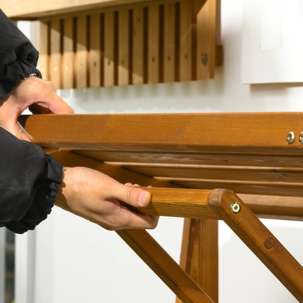 Drachenbaum-Hängepflanze mit Drachenfrucht