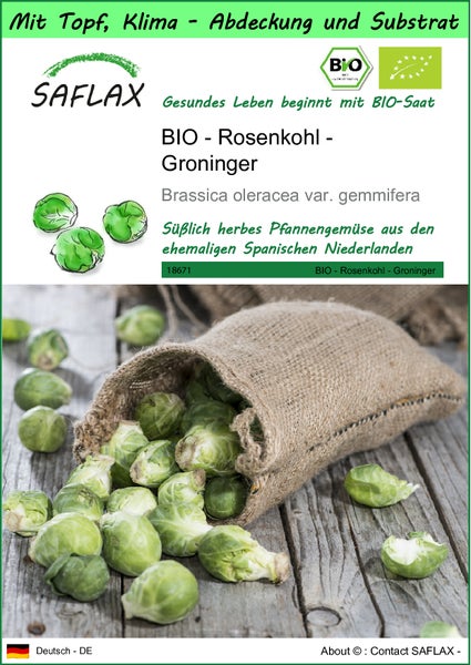 SAFLAX Garden to go - BIO - Rosenkohl - Groninger - Brassica oleracea var. gemmifera - 30 Samen - Mit Topf, Klima - Deckel und Anzuchtsubstrat