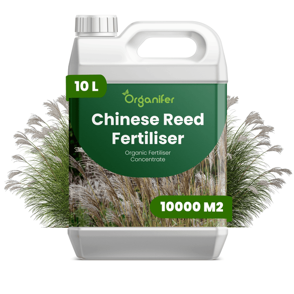 Organifer Chinaschilf-Dünger Bio-Düngerkonzentrat, 10 Liter Kanister für circa 10000 Quadratmeter.