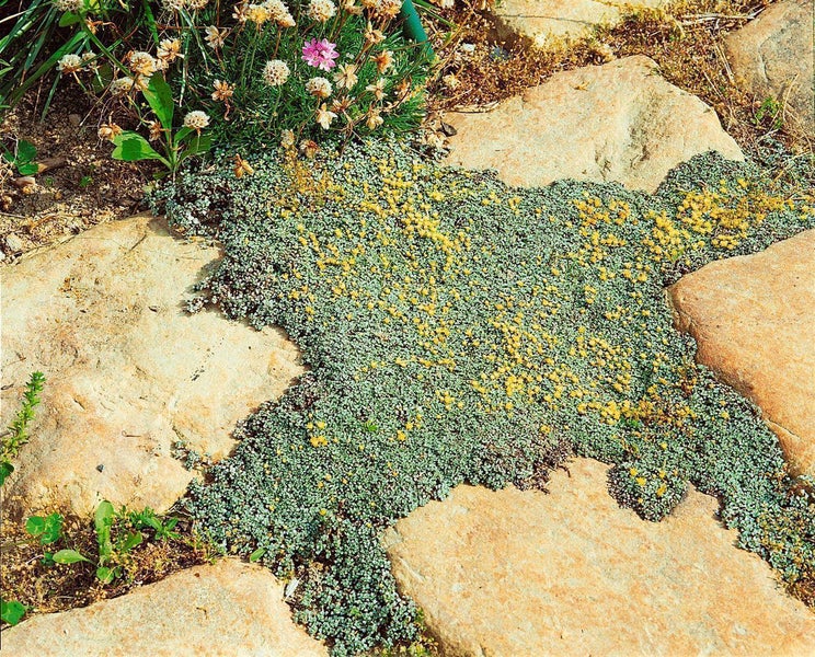 Schaukelstuhl mit Textilbezug und pulverbeschichtetem Stahlgestell für den Außenbereich