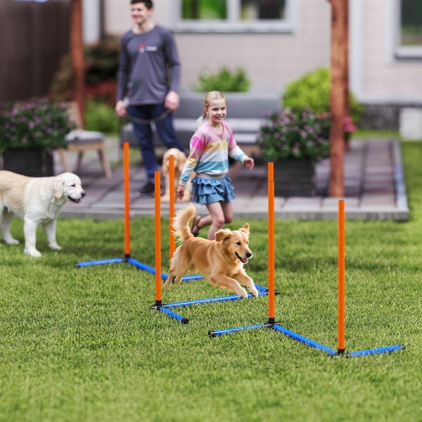Hund springt über eine Hürde eines Agility-Sets in einem Garten mit einem Kind und einem Mann im Hintergrund.