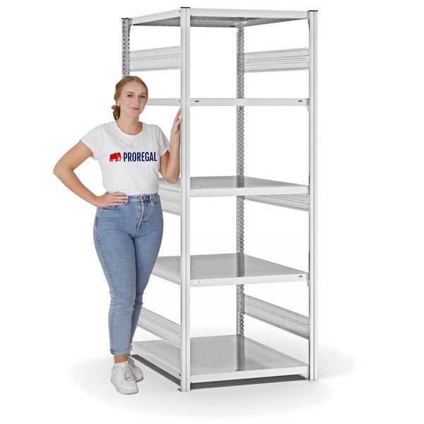 PROREGAL Fachbodenregal Stecksystem T-Profil Heavy-Duty Grundregal HxBxT 200 x 75 x 80 cm 5 Ebenen Fachlast 330 kg Beidseitig Nutzbar Lichtgrau