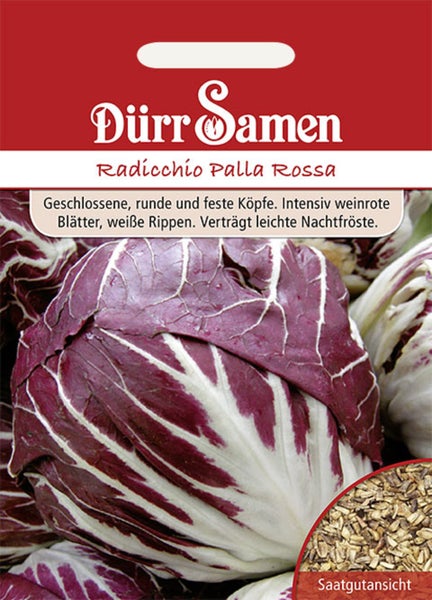 Samentüte für Radicchio Palla Rossa von Dürr Samen. Abbildung eines runden Salatkopfes mit dunkelroten Blättern und weißen Blattrippen.