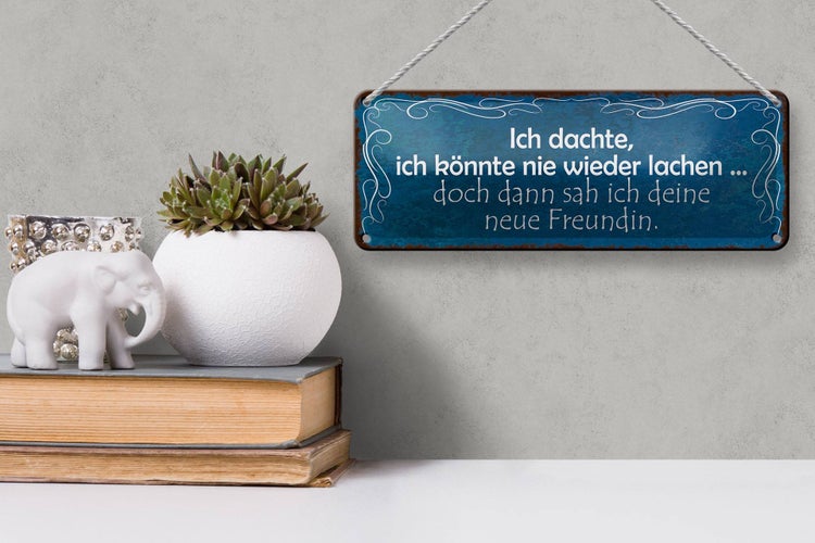 Blechschild Spruch 27x10cm Freundin ich kann wieder lachen Dekoration