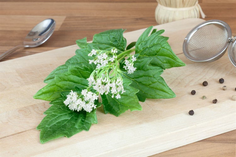 Baldrianblüten und -blätter auf einem Holzbrett mit Gewürzen, einem Löffel und einem Teesieb