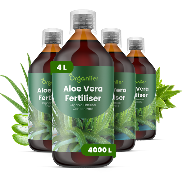 Vier Flaschen Organifer Aloe Vera Dünger, organisches Konzentrat, Gesamtmenge 4 Liter für bis zu 4000 Liter Gießwasser.