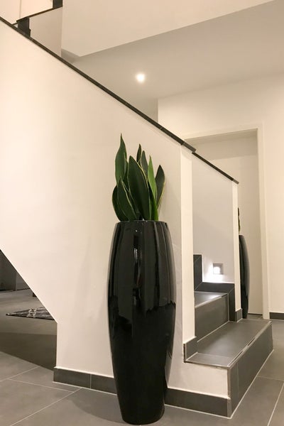 Bogenhanf in hoher schwarzer Glanzvase in modernem Treppenhaus mit hellen Wänden und grauen Bodenfliesen.