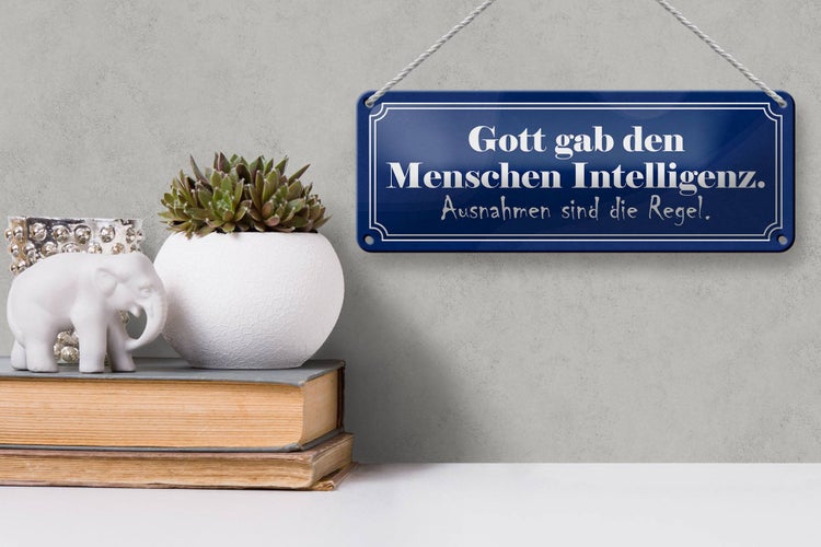 Blechschild Spruch 27x10cm Gott gab Menschen Intelligenz Dekoration