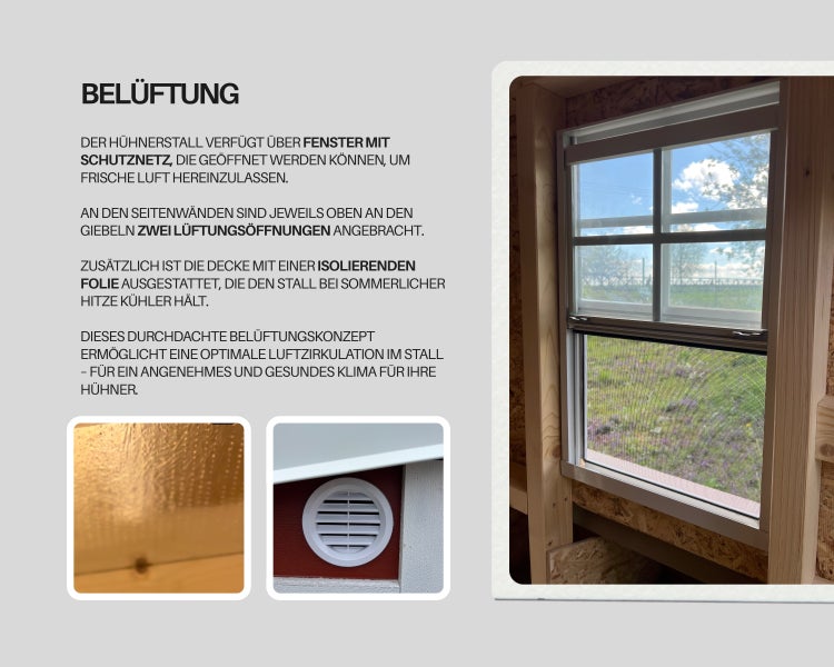 Hühnerstall mit Tür und Fenstern