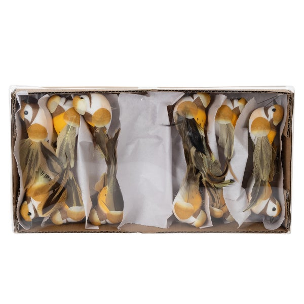 Dekorative Vögel mit Federn in einer Schachtel