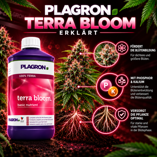 Plagron Terra Bloom Dünger für die Blütephase von Pflanzen in einer Flasche mit erklärenden Infografiken zu Inhaltsstoffen und Wirkungsweise.